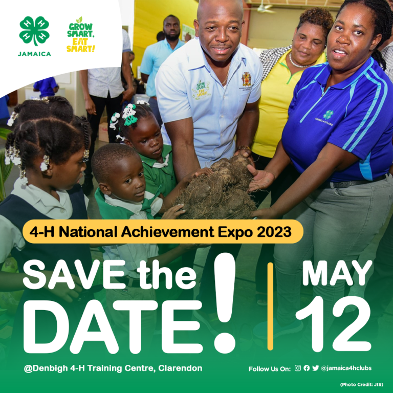 Jamaica 4-H Clubs – 